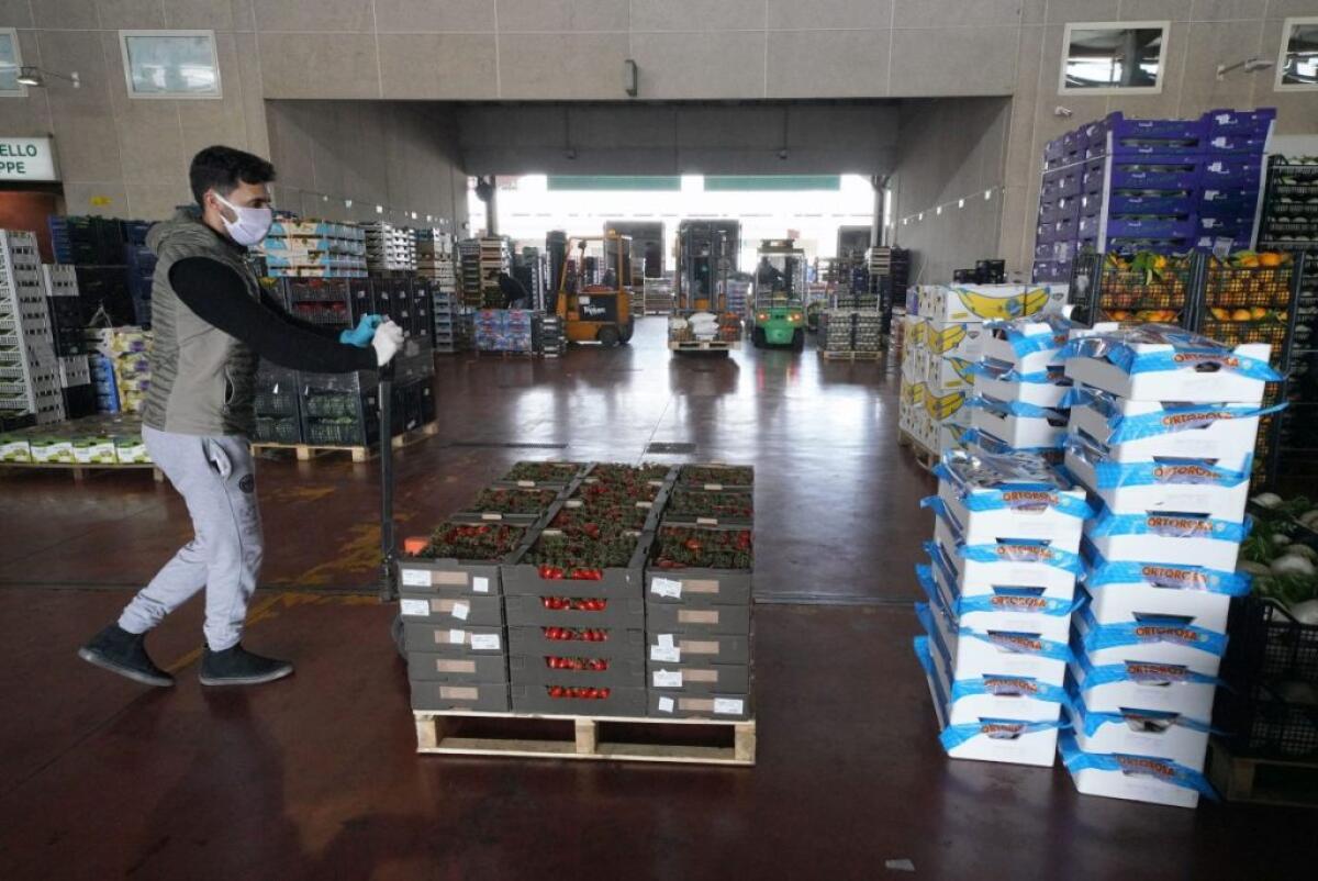 Coronavirus, dall’Ismea agevolazioni per le imprese agroalimentari -