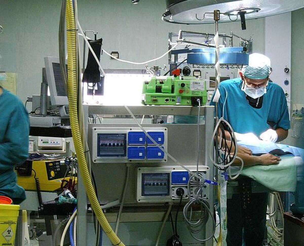 Nel 2019 aumentano i trapianti, ma crescono anche i no alla donazione - 