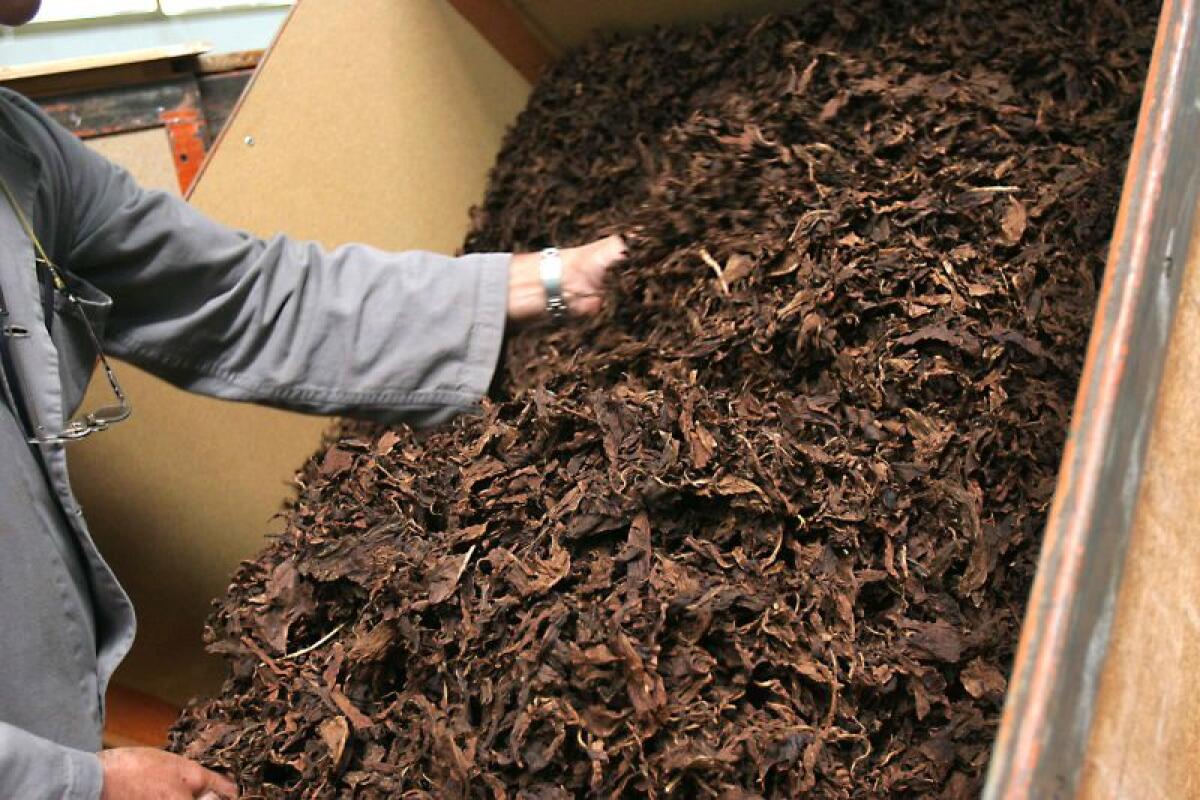 Bat acquista 4.500 tonnellate di tabacco italiano per il 2020 -