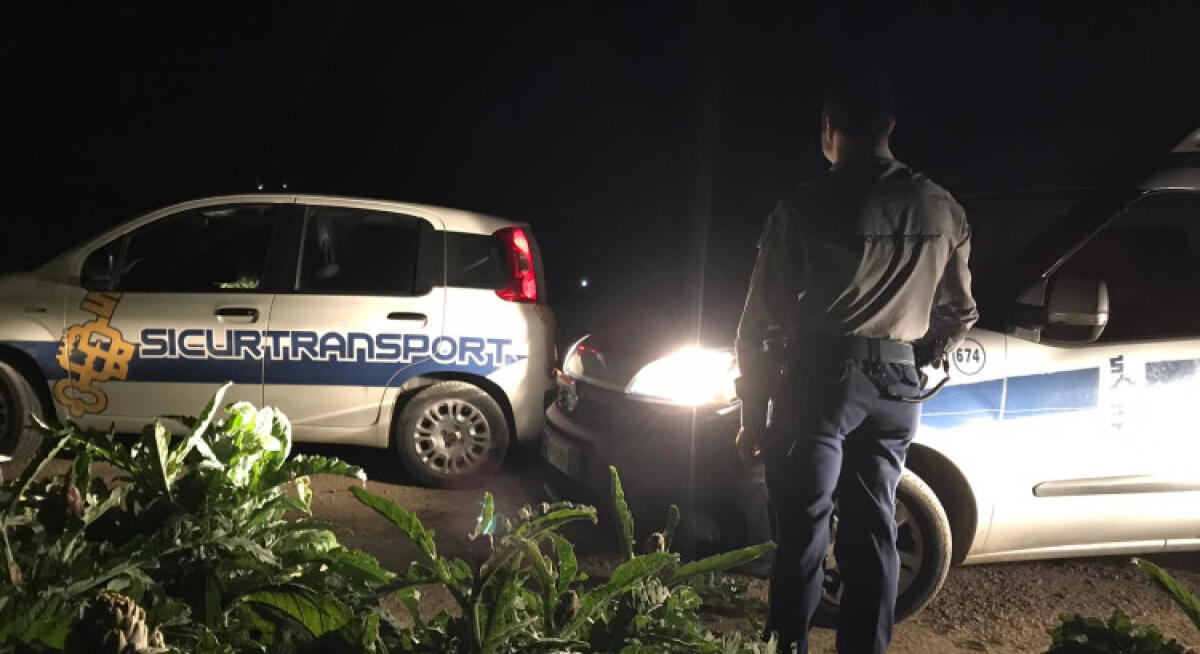 Furto sventato in un'azienda agricola, guardie giurate mettono in fuga i ladri - Guardie giurate e carabinieri hanno individuato i ladri