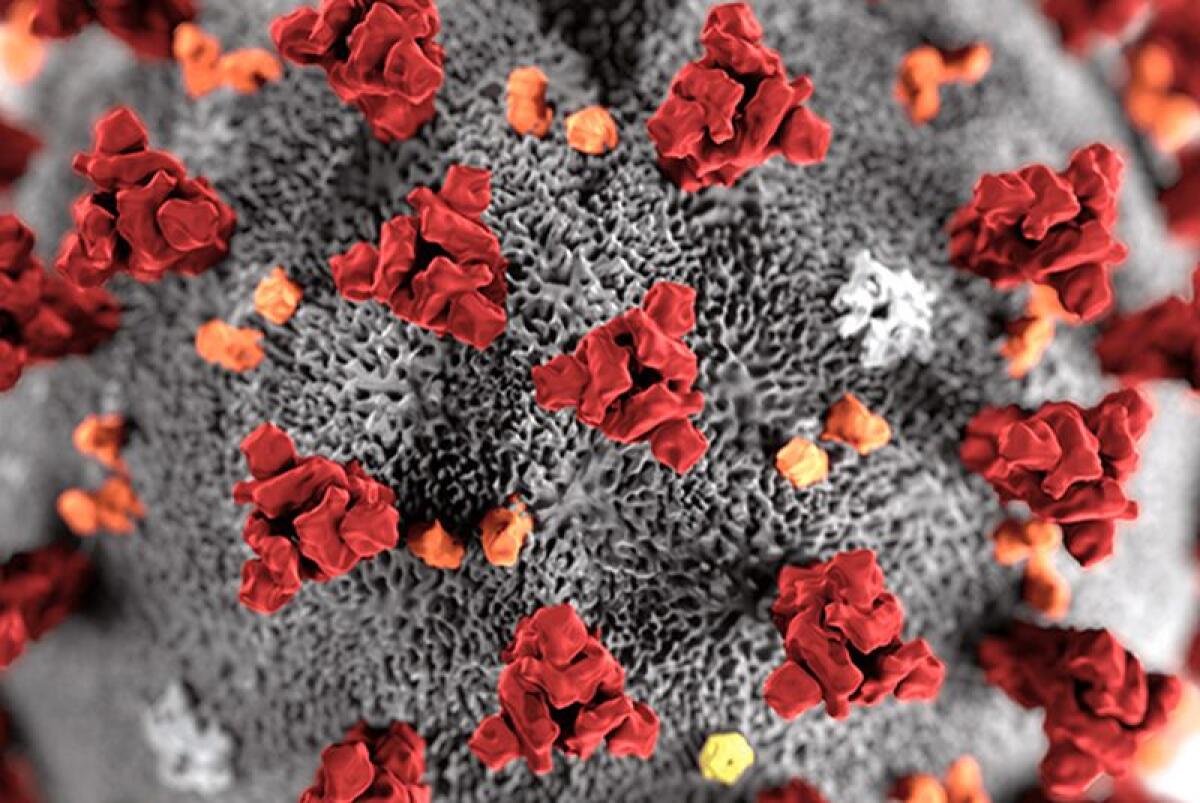 Via libera ad app su coronavirus, mancato uso non limita diritti - 