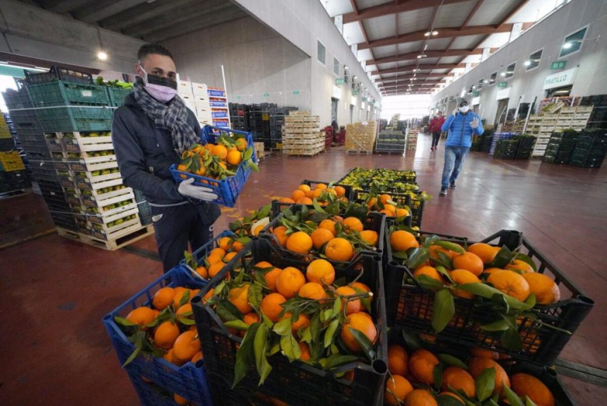 Coronavirus, l’agroalimentare italiano chiede di rafforzare la PAC - 