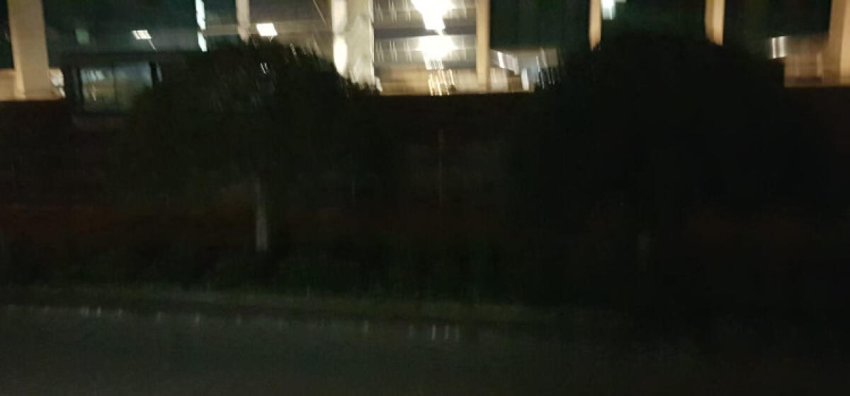 A ridosso del tribunale niente illuminazione e vegetazione che invade anche i marciapiedi - Manca l'illuminazione pubbica