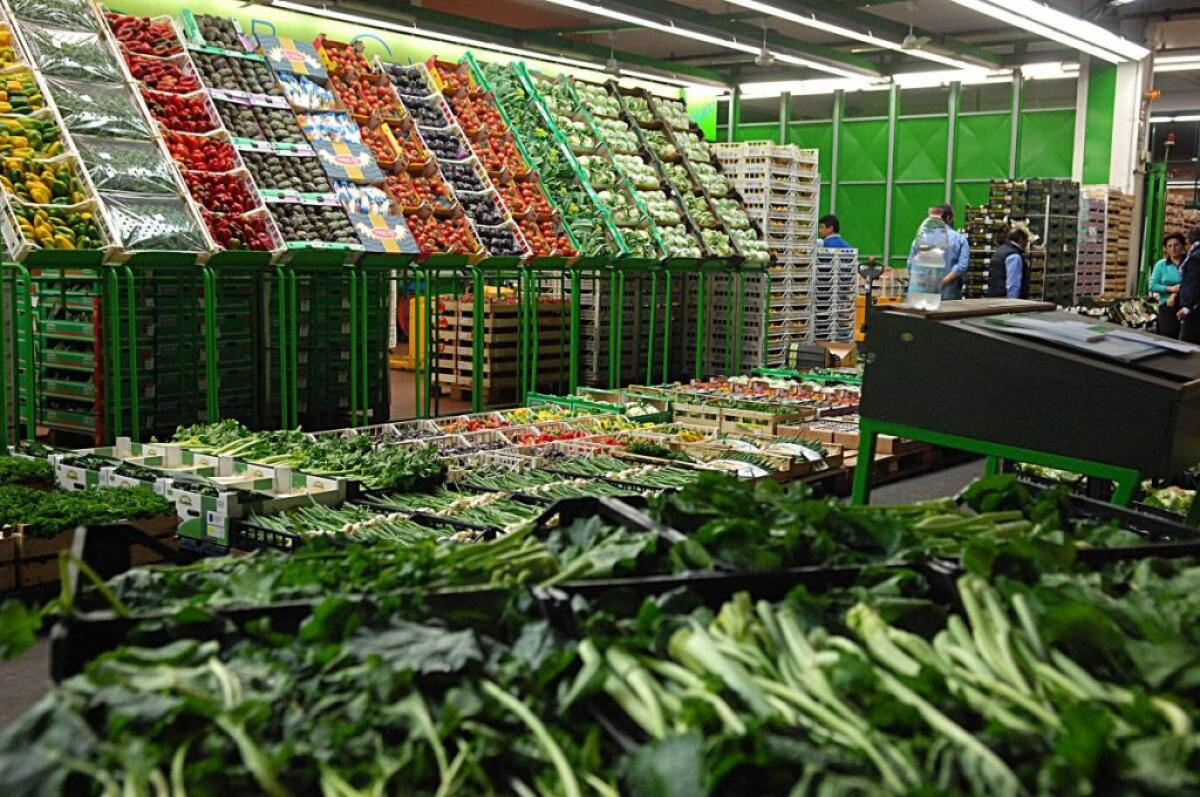 Uila-Uil “No a un milione di disoccupati con l’ortofrutta che marcisce” - 