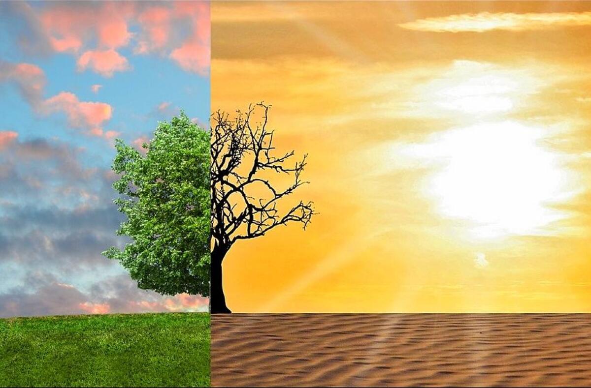 Earth Day, da P&amp;G “Storie di Cittadinanza d’Impresa 2019” - 