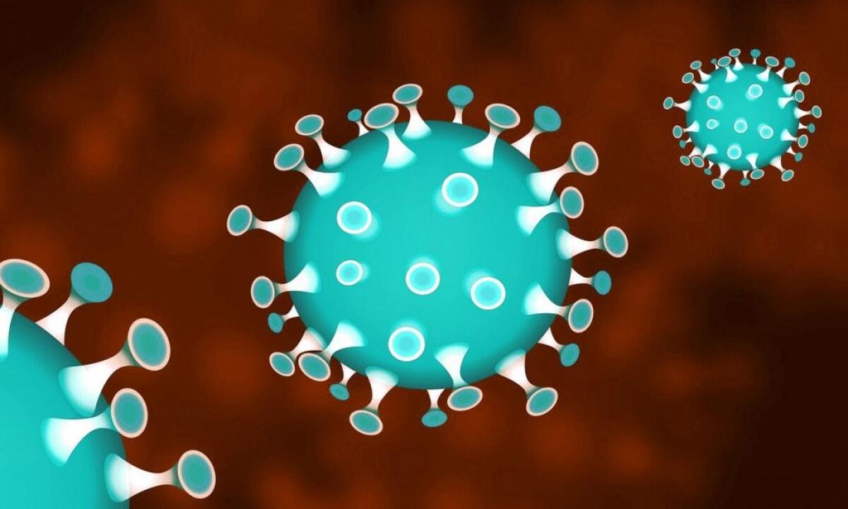 Coronavirus, nasce il super archivio dei pazienti - 