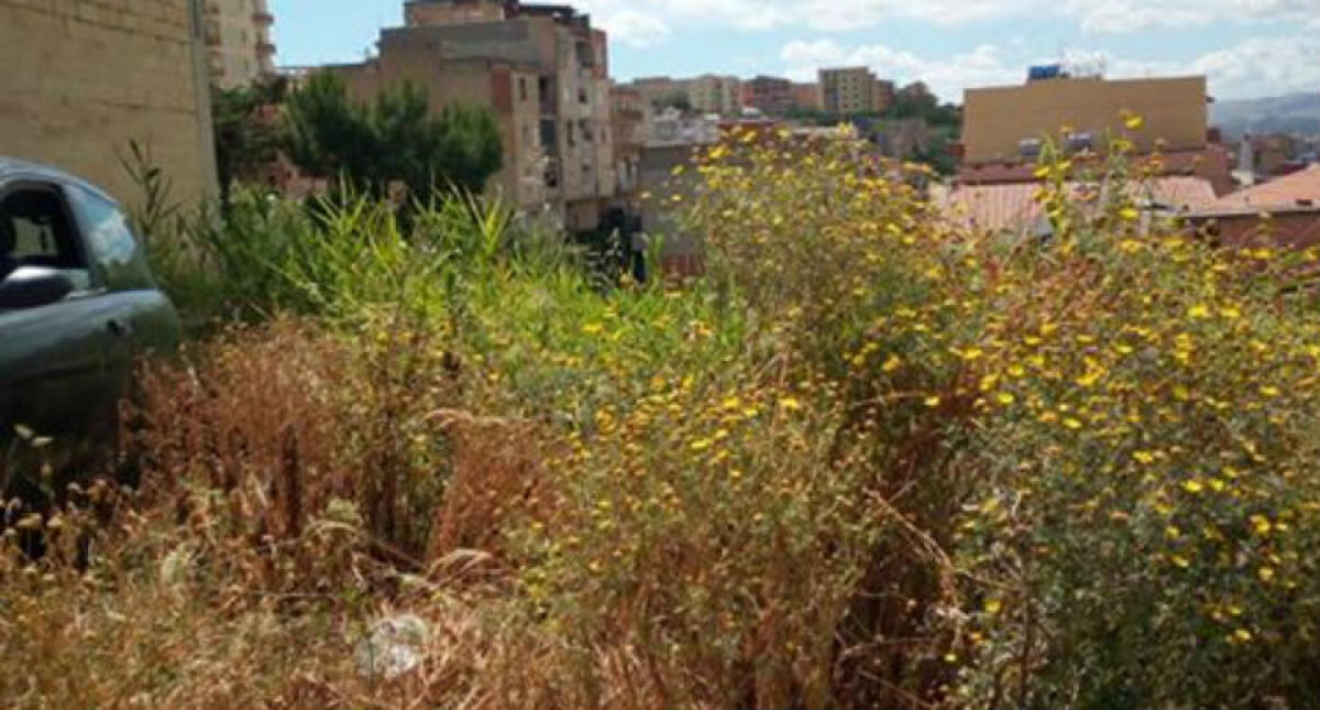 "Manca semplice manutenzione verde altro che rilancio!", Bennici: "Città abbandonata" - 