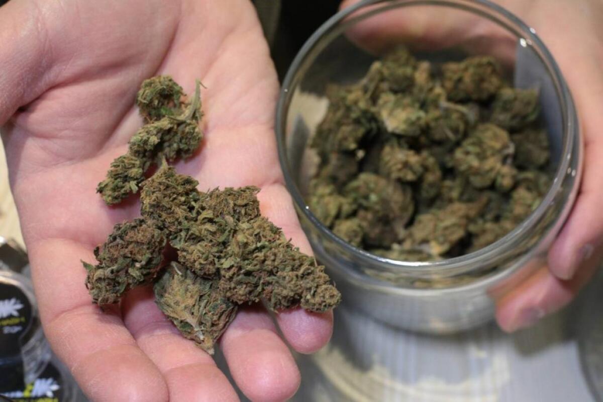 Quanto lo stress incide sulle nostre vite e come combatterlo con il CBD - 