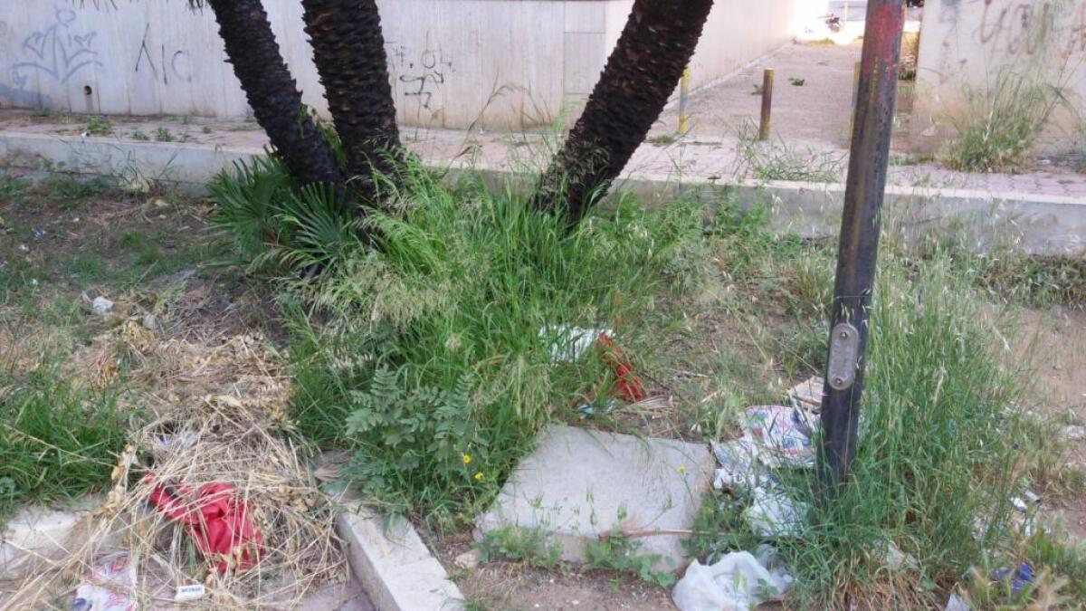 E' ancora allarme aree verdi, nuova gara per interventi: si cerca altra ditta esterna - Molte aree verdi sono in stato di abbandono