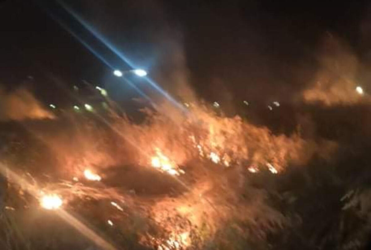 Rogo a Settefarine, terreni incolti invasi dalle fiamme - Fuoco a Settefarine