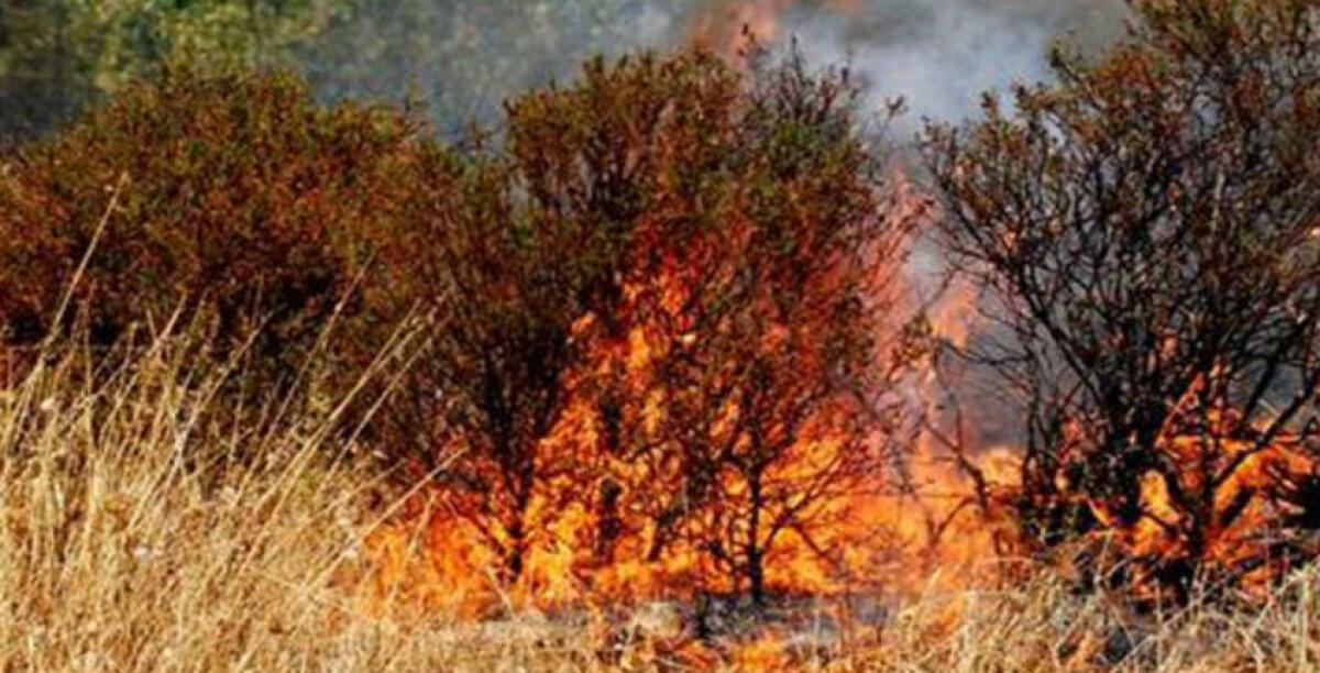 Brucia Feudo Nobile, in fiamme diversi ettari di terreno e sterpaglie - 