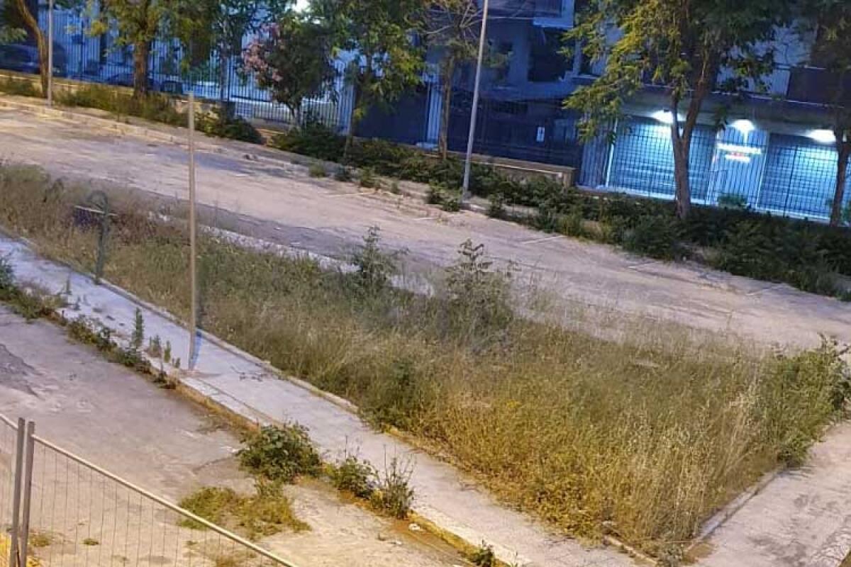 Zero contagi e centro covid-19 vuoto, in ospedale preoccupa di più l'incuria del verde - Incuria nel piazzale interno dell'ospedale diretto da Luciano Fiorella.