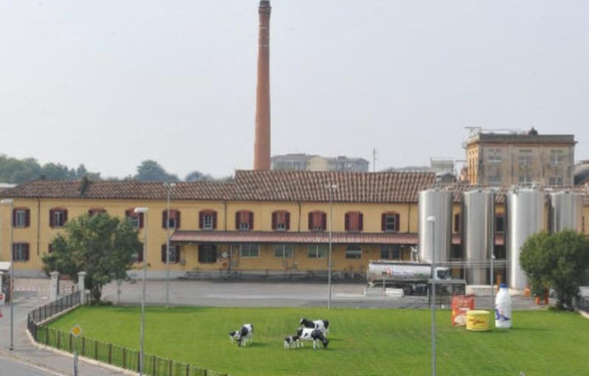 Da Iccrea e Cdp finanziamento da 30 milioni a Latteria Soresina - 