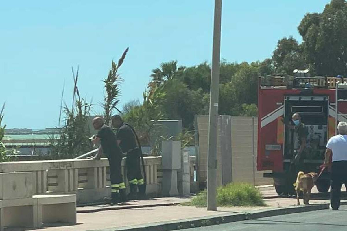 Emergenza al lungomare, fiamme al canneto segnalato dai commercianti - Il tempestivo intervento dei vigili del fuoco ha evitato che la coltre di fumo interessasse le abitazioni.