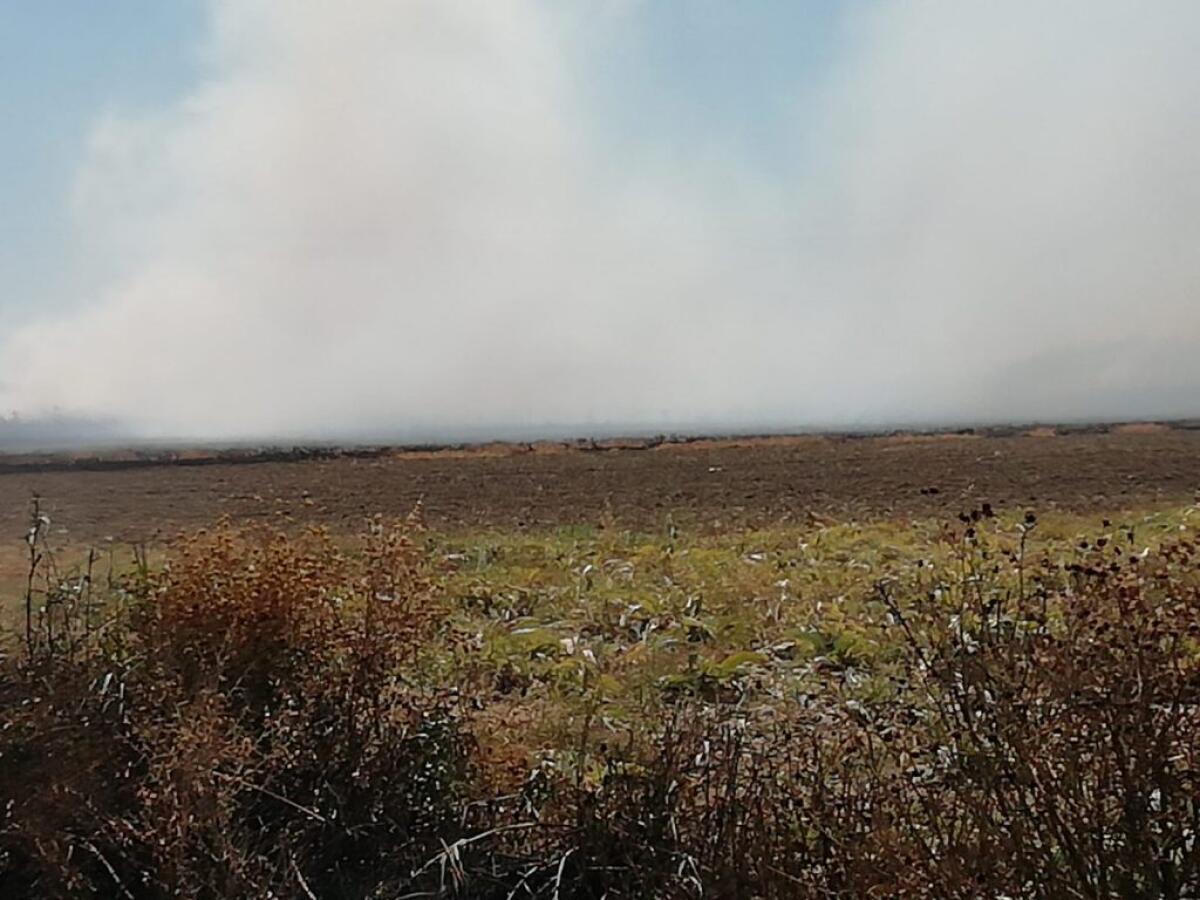 Fuoco lungo la Piana, fiamme lambiscono pozzo Enimed - Le fiamme si sono estese ad una vasta zona 