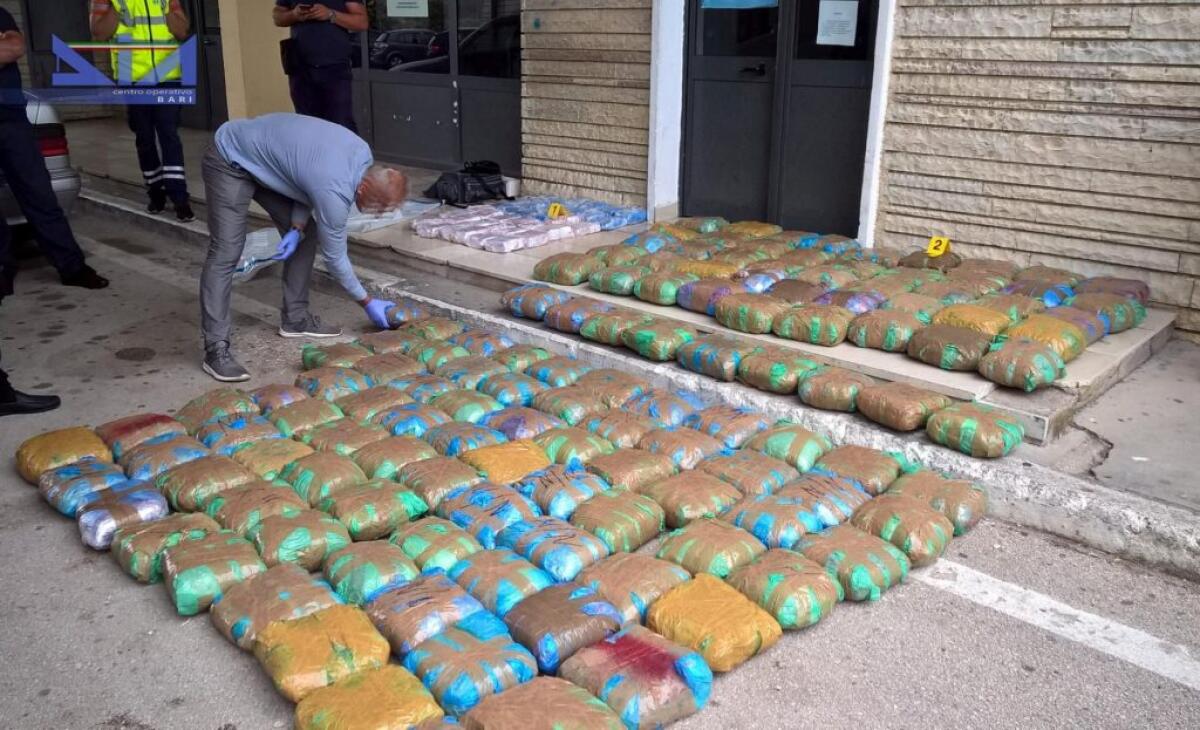 Droga, operazione tra il Sud Italia e l’Albania. Arrestate 37 persone - 