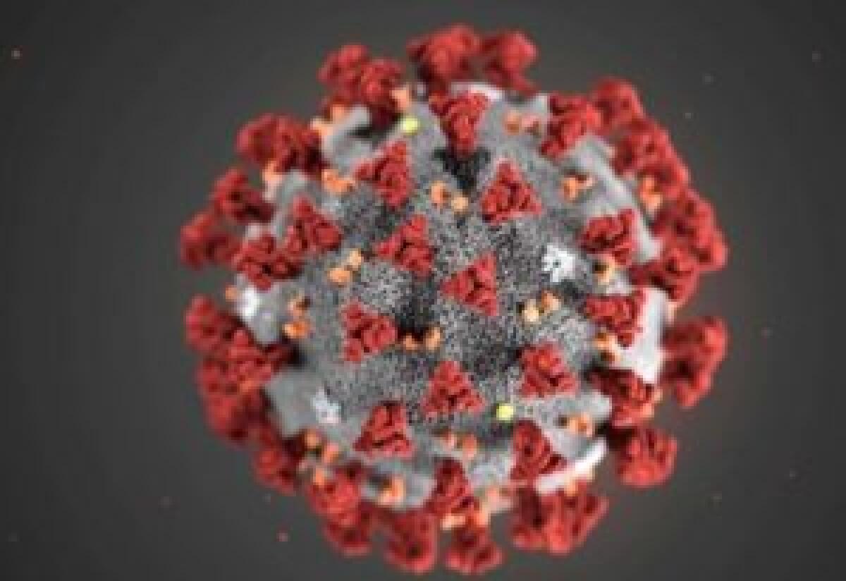 Coronavirus, una cinquantina di positivi alla Bartolini di Bologna - 