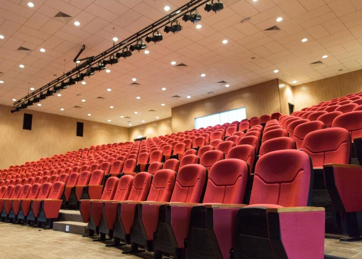 Franceschini “20 mln per le sale cinematografiche e 100 per tax credit” - 
