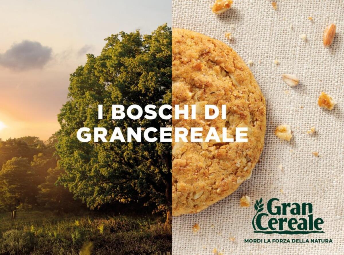 World Rainforest Day, Gran Cereale ripristina 6 boschi italiani - 