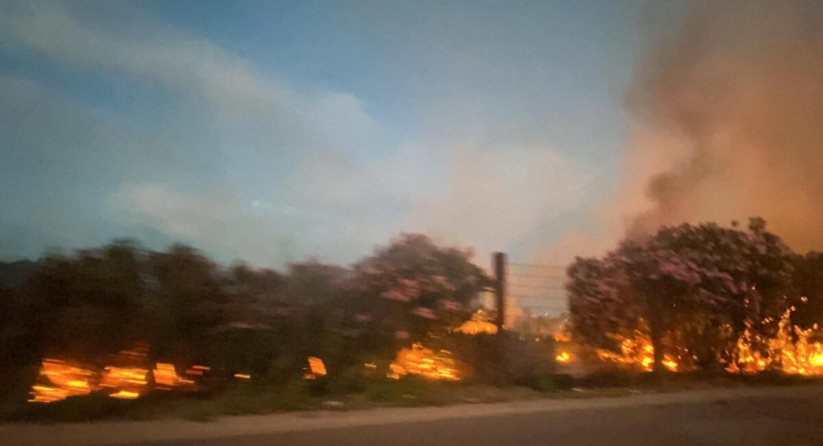 Via Dell'Acropoli in fiamme, incendio in area verde a ridosso della strada - Fiamme a ridosso della strada