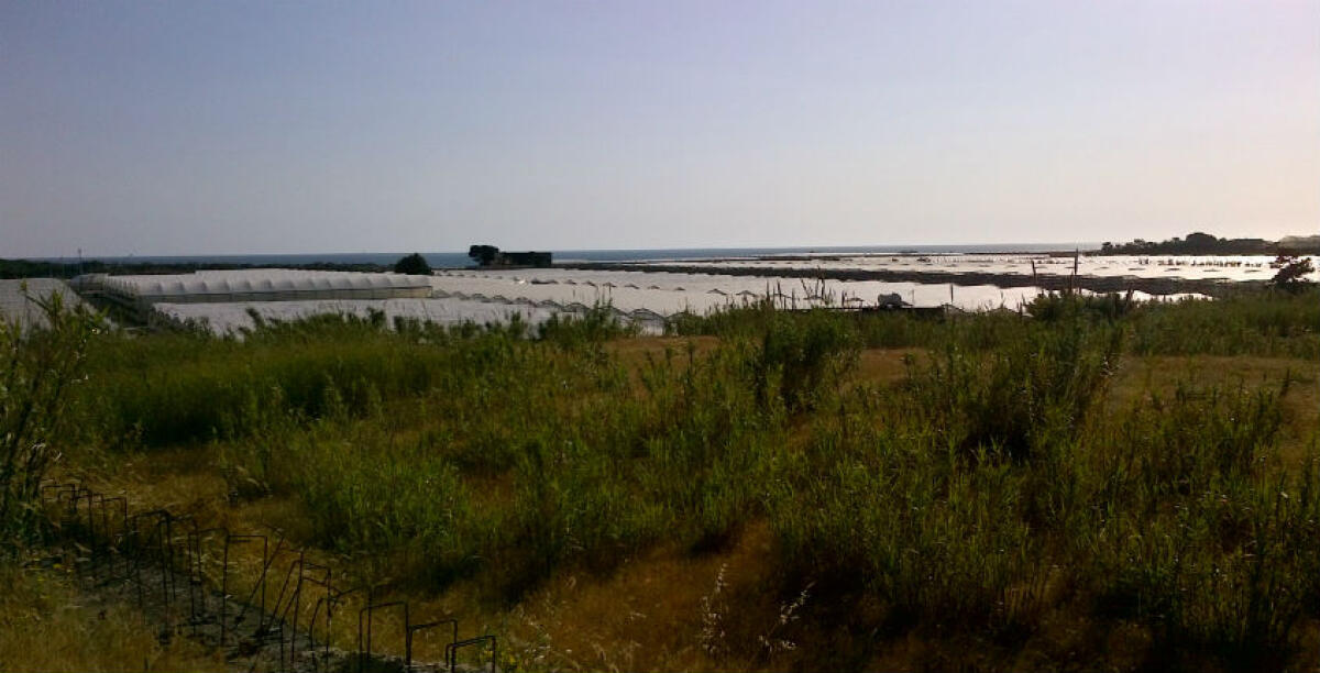 Stop ad acqua Biviere, agricoltori: "Non siamo criminali come dobbiamo lavorare?" - 