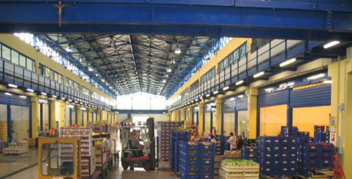 Non erano operai in nero, assolti titolare "Agriservice" e lavoratori azienda - 