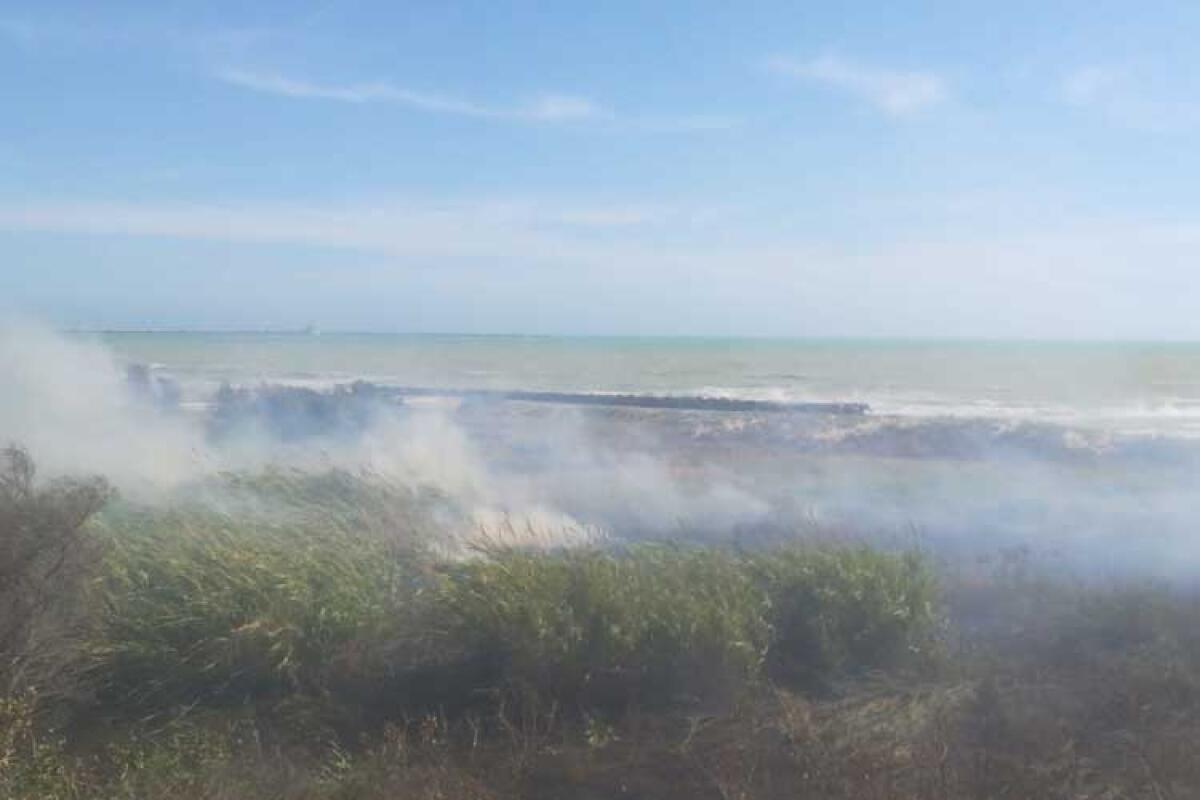 Troppe aree incolte e incendi, in attesa della bonifica brucia canneto a lungomare - Uno degli incendi nella folta vegetazione di quel tratto di costa