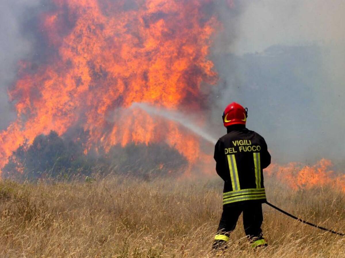 Fiamme a Marchitello, rogo in aree a ridosso delle abitazioni - 