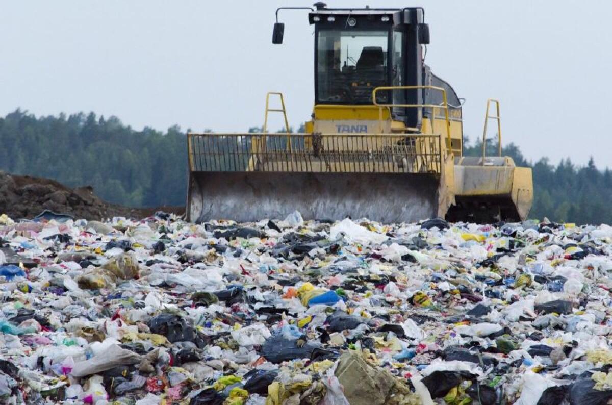 Rifiuti, cresce la presenza di plastica nell’umido - 