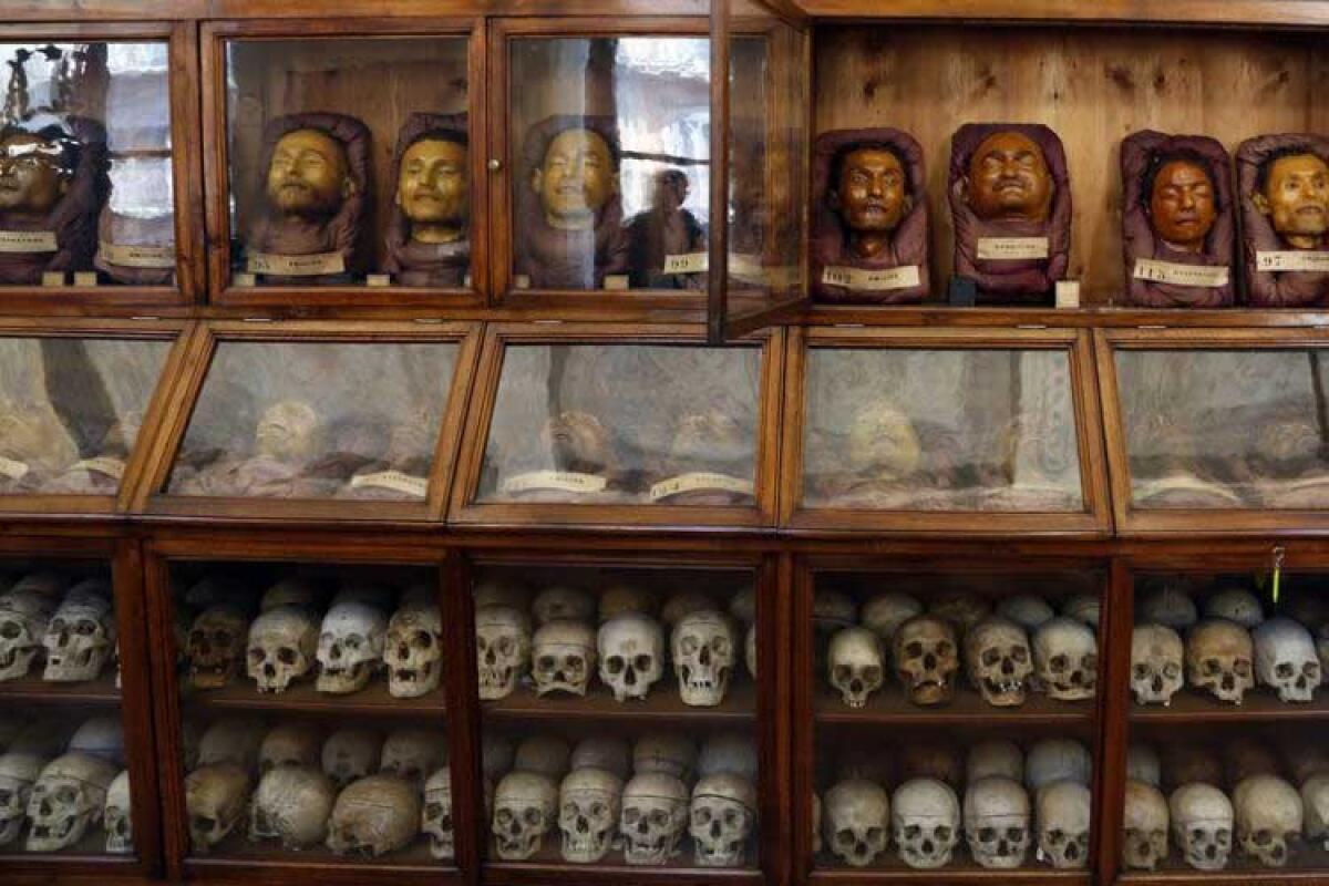 Museo Lombroso: l'orribile e razzista esposizione dei crani dei meridionali uccisi - Le squallide teche del vergognoso museo che porta il nome del carnefice Lombroso ancora aperto a Torino.