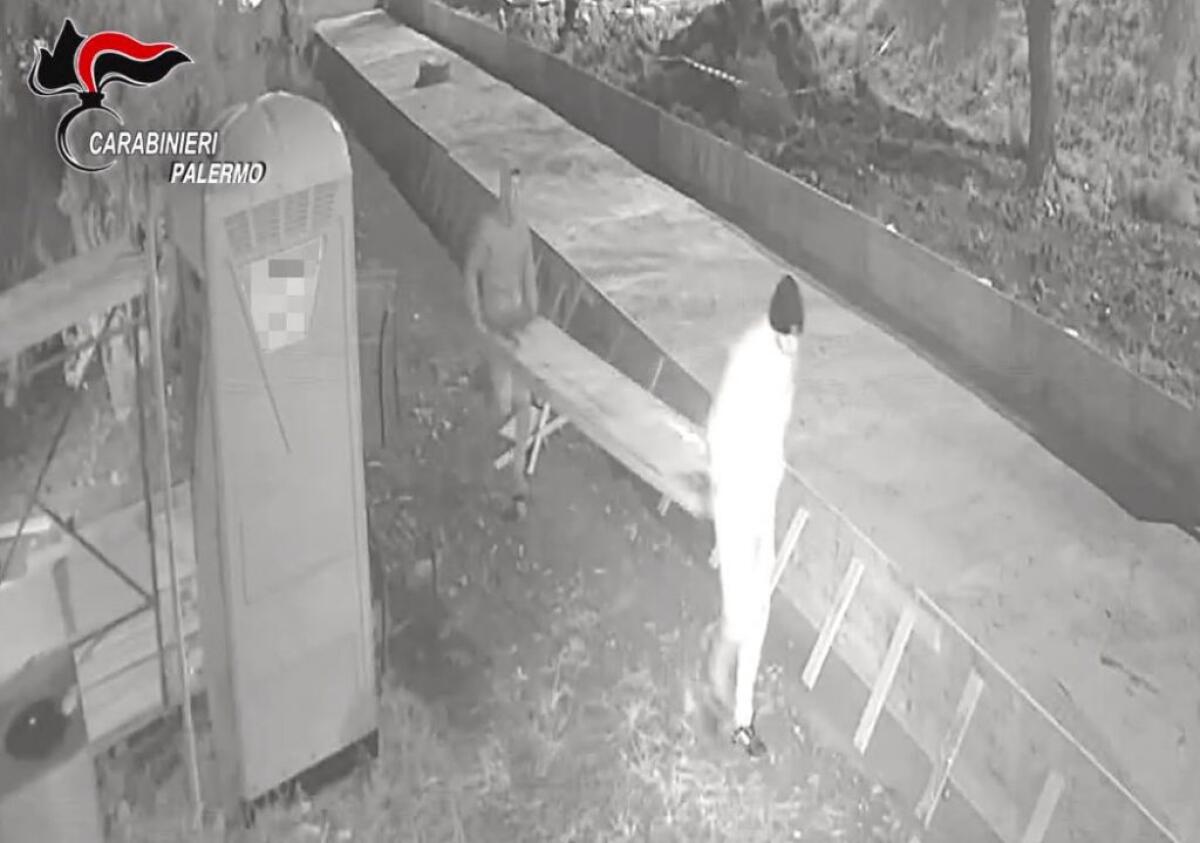 Furti ed estorsioni, 24 arresti tra Sicilia, Puglia ed E.Romagna - 