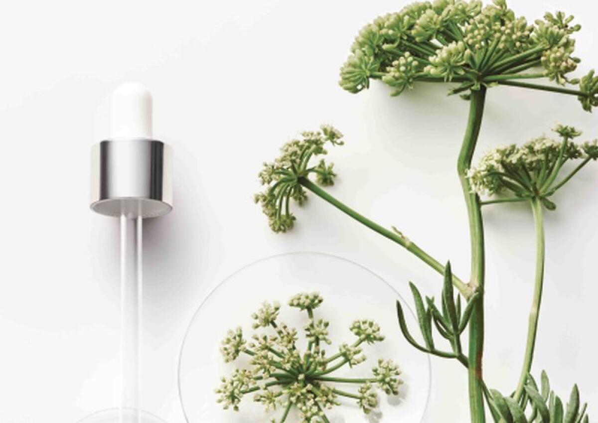 La crescita responsabile del settore cosmetico per P&amp;G Beauty - 