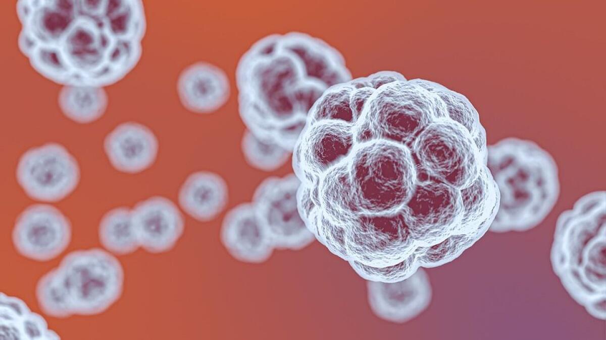 Covid-19, una nuova tecnologia elimina il virus dai tessuti - 