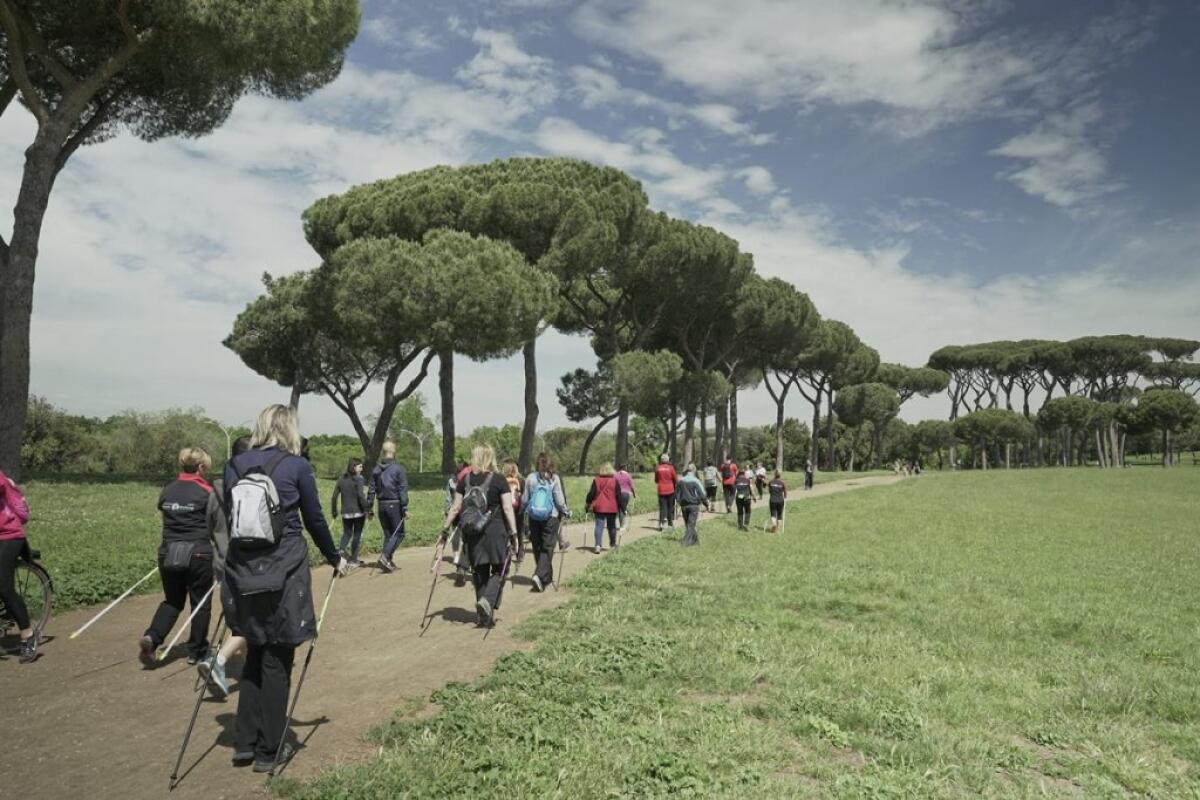 Sclerosi multipla, le tecnologie digitali migliorano l’assistenza - 