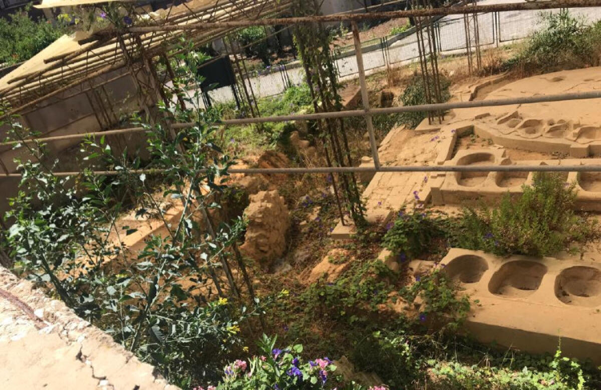 Rilancio culturale? Bagni greci circondati da sterpaglie e vegetazione spontanea - Sterpaglie e vegetazione spontanea avvolgono il sito archeologico