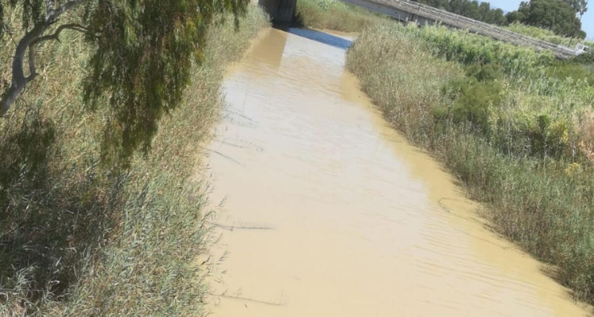 Fiume Gela ancora "colorato", possibili sversamenti pericolosi: "Servono indagini" - Le acque di nuovo "colorate"