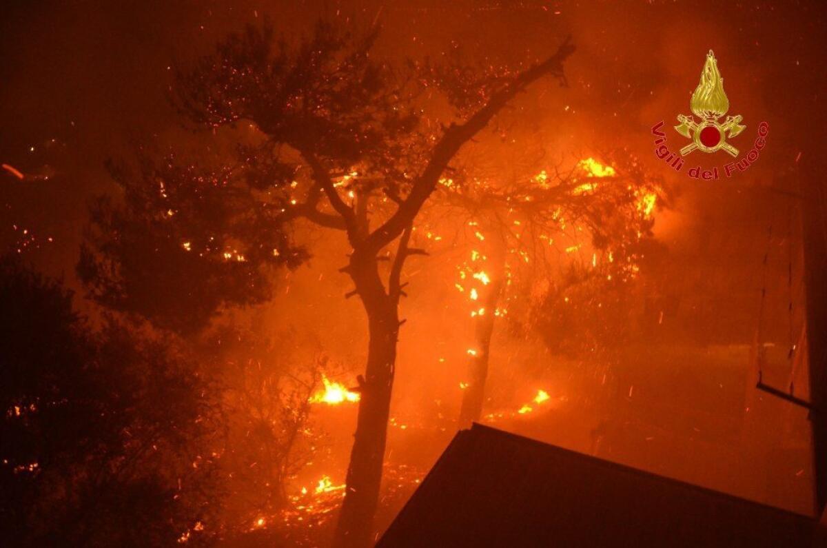 Incendio alle porte di Palermo, in 400 in fuga dalle case - 