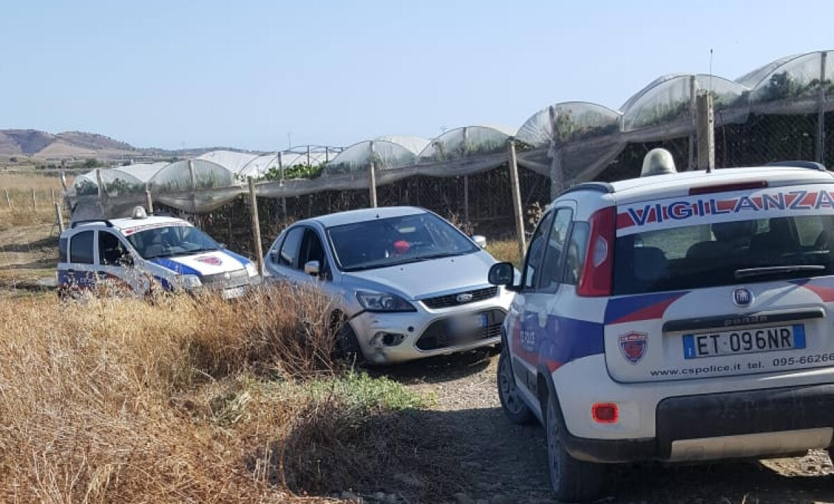 Rubava uva nei terreni di azienda vitivinicola, ladro bloccato da guardie giurate - Le guardie giurate hanno bloccato la vettura con a bordo il presunto ladro