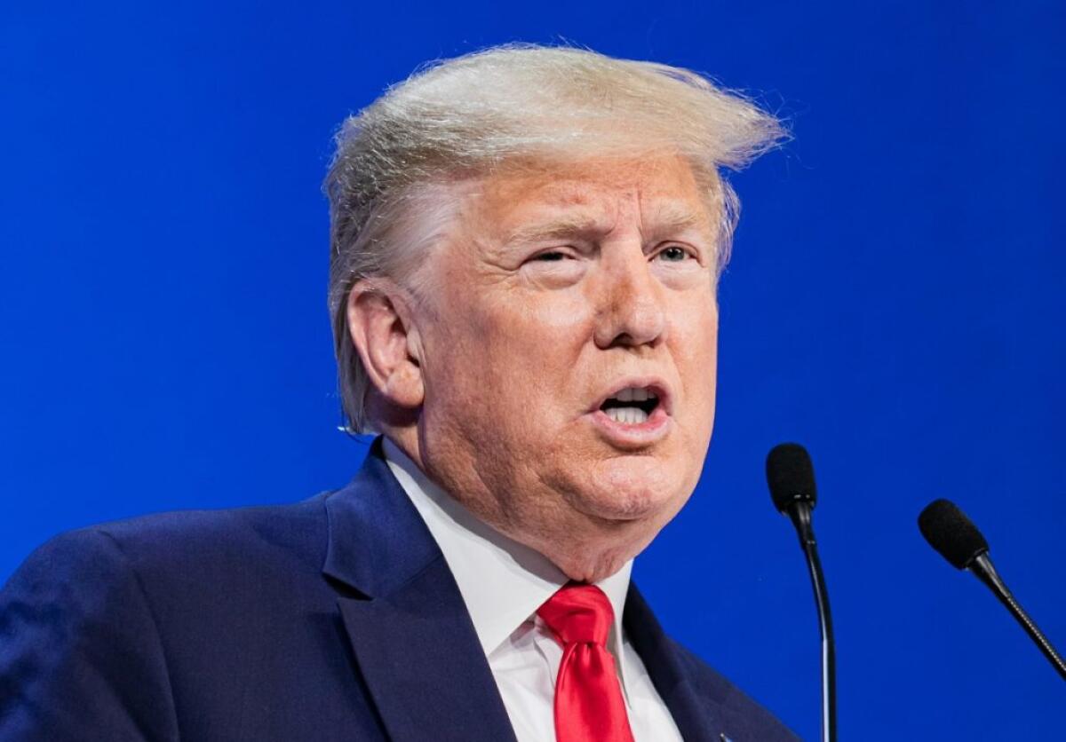 Elezioni Usa, Trump “La scelta è tra sogno americano e socialismo” - 