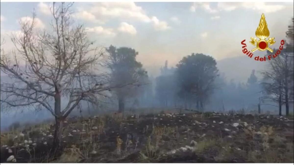 Incendi, 34589 interventi dei vigili del fuoco dal 15 giugno - 