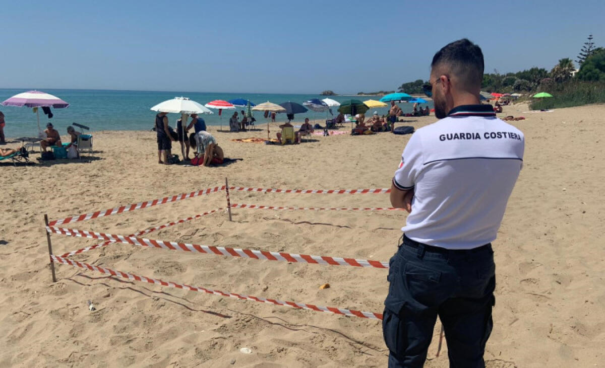 Nido di Caretta caretta in spiaggia a Falconara, area transennata a tutela tartarughe - Il nido di Caretta caretta