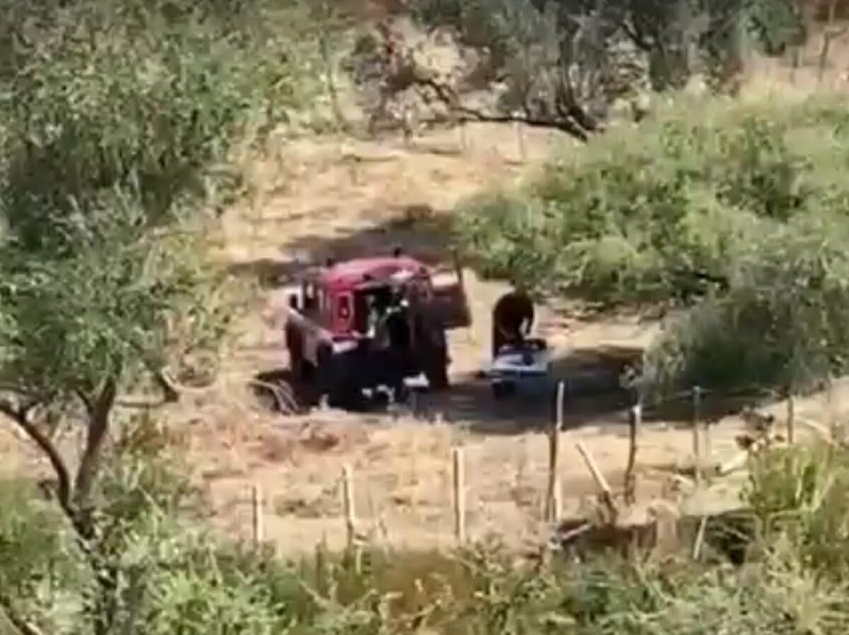 Dj morta, nuovo sopralluogo per ricerca altri resti di Gioele - 