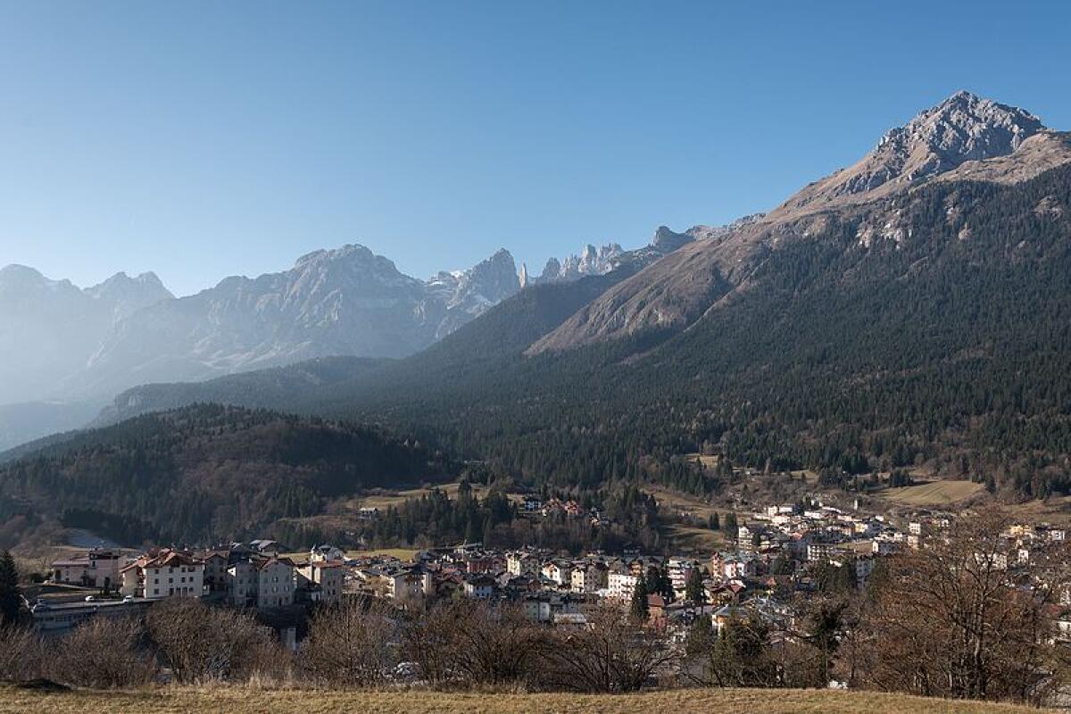 Trentino, catturato orso dopo l’aggressione a un carabiniere - 