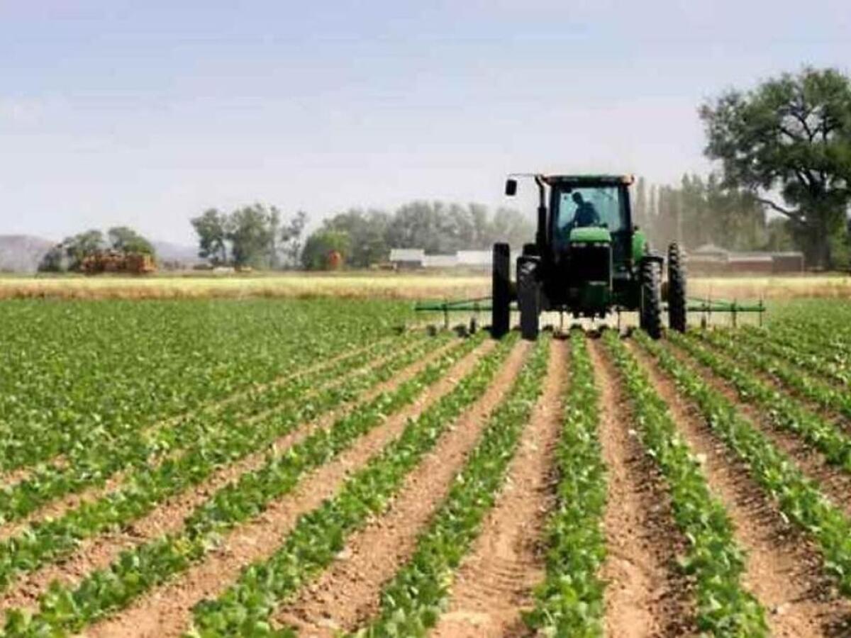 Caporalato in azienda agricola nel Milanese, 7 denunciati - 
