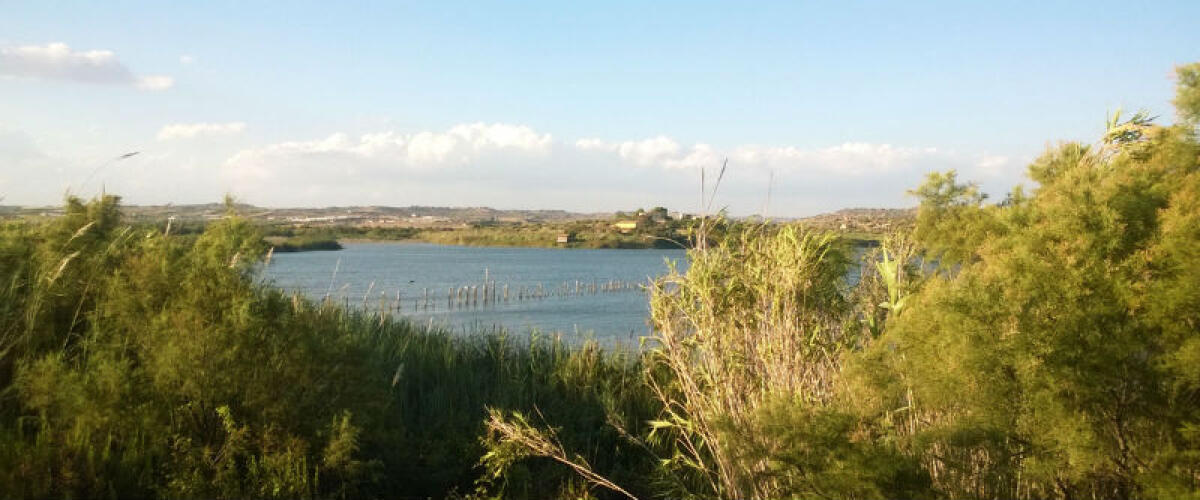 Prelievi nelle acque del Biviere, Giudice: "E' area Ramsar andrebbe attuato protocollo" - I prelievi per i controlli vengono effettuati da personale Arpa