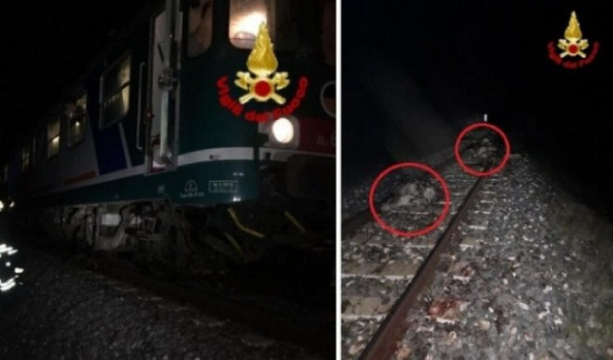Treno contro gregge ovini, paura per passeggeri partiti da Gela: incidente a Siracusa - L'incidente nei pressi di Siracusa