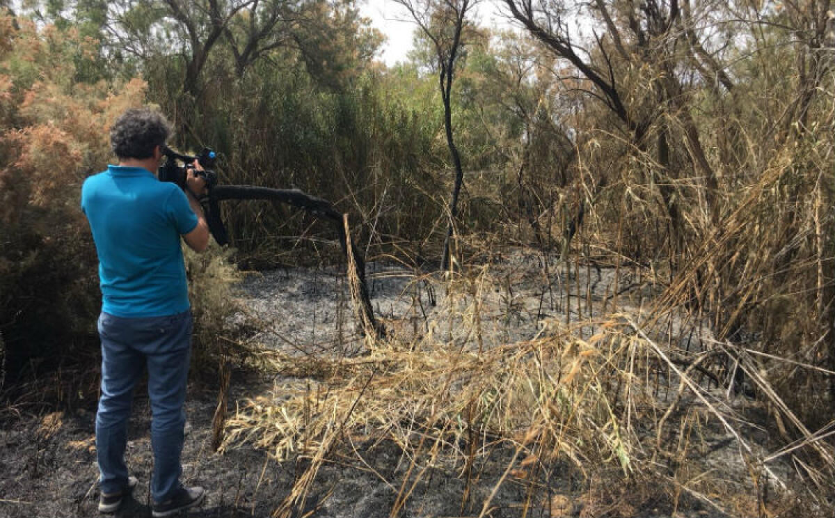 Biviere nella morsa degli incendi, "sono tutti dolosi": "L'illegalità è la regola" - Anche nel recente passato l'area del Biviere è stata colpita da vasti incendi
