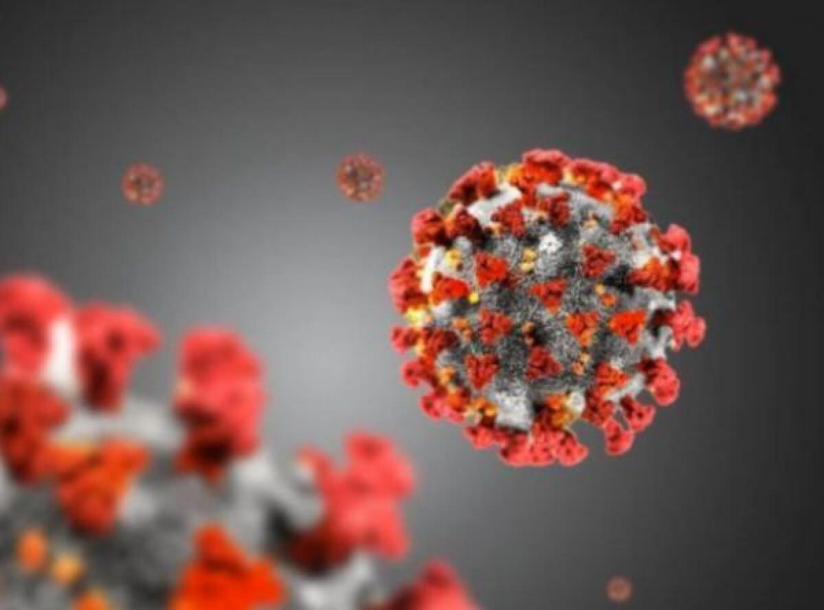 Coronavirus, al via allo Spallanzani test vaccino sull’uomo - 