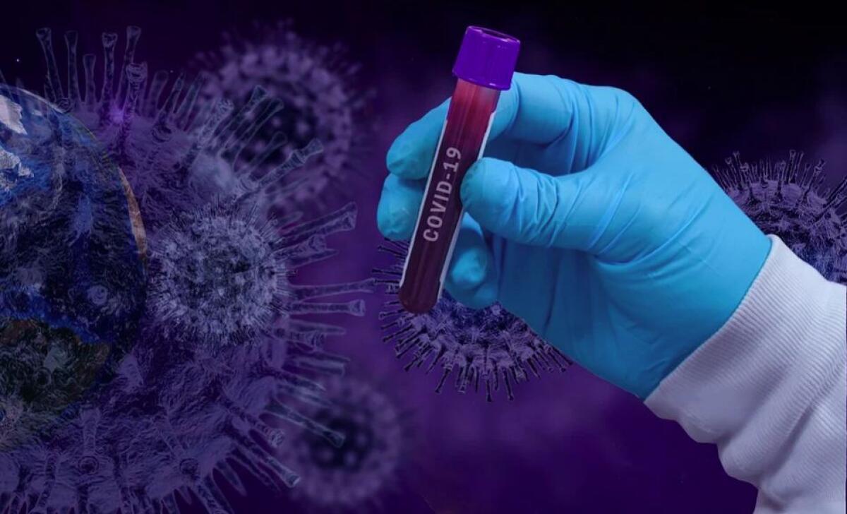 Coronavirus, 1.638 nuovi casi in Italia e 24 decessi - 