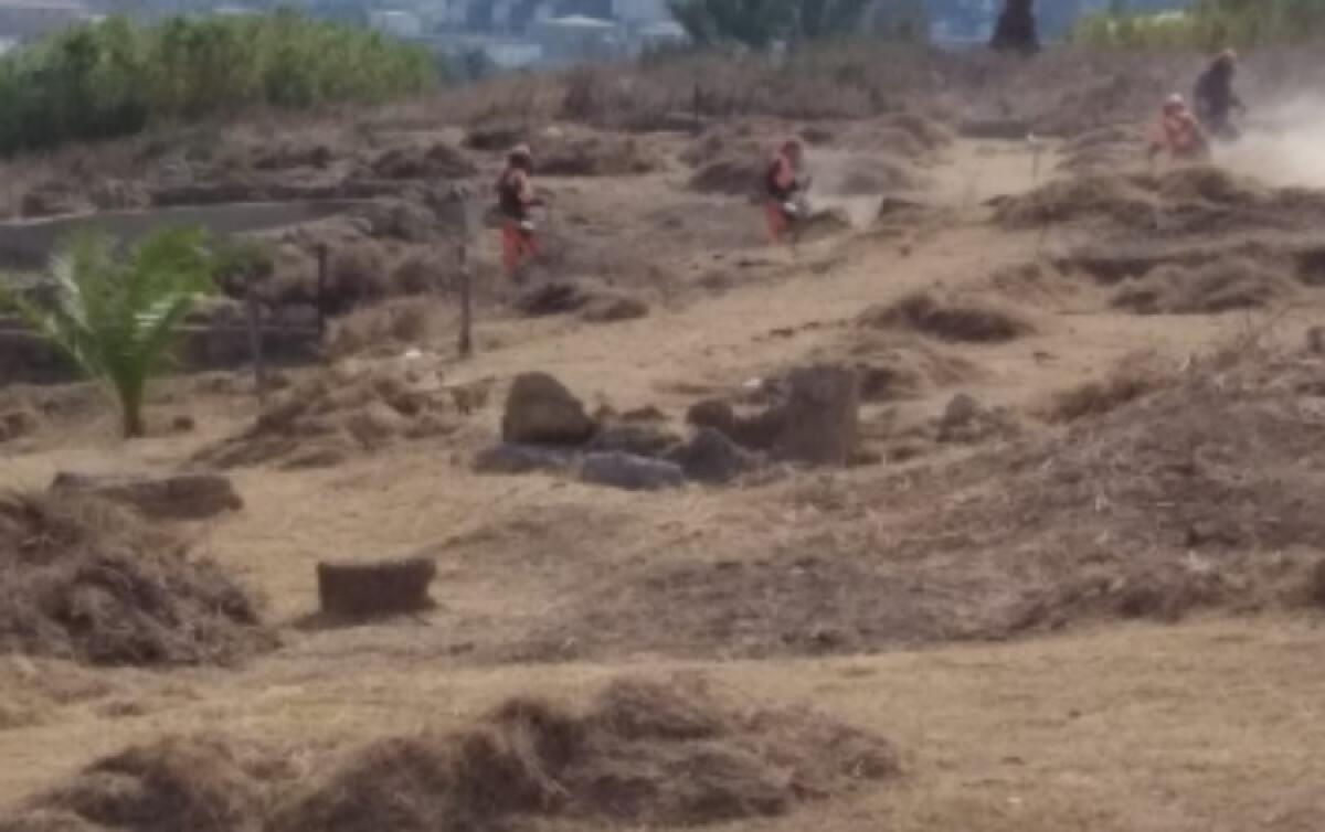 Acropoli, partiti interventi di pulizia e manutenzione nell'area archeologica - L'area ripulita